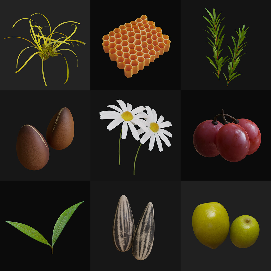 3D Render- Herbal Ingredients